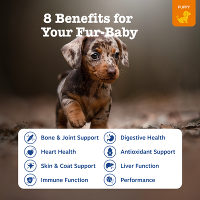 8-in-1 Multivitamin Bites for Puppies