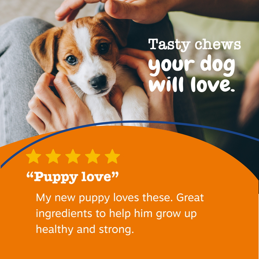 8-in-1 Multivitamin Bites for Puppies