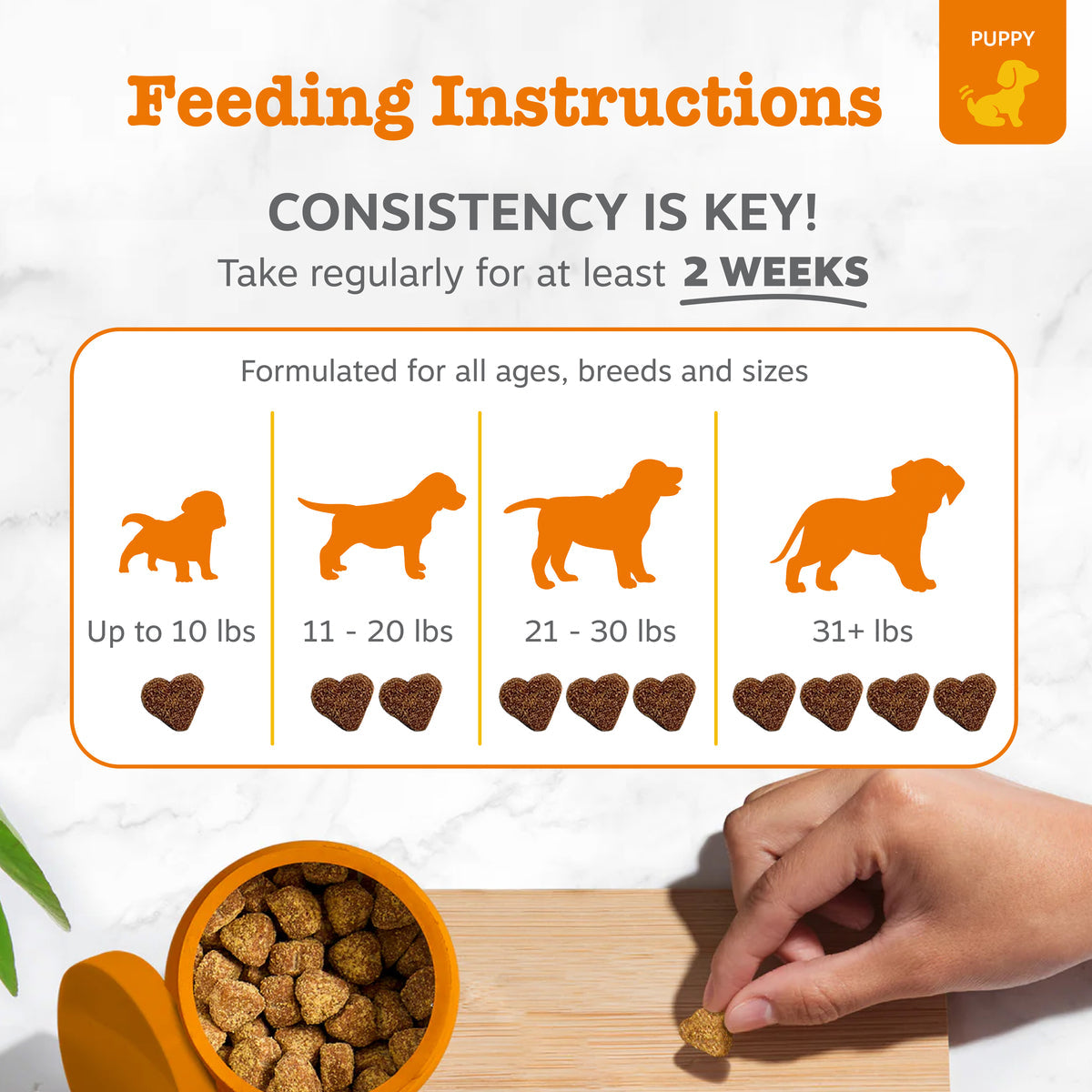 Puppy Probiotic Bites