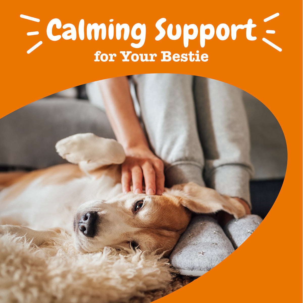 Calming Plus Bites for Dogs