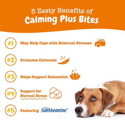 Calming Plus Bites for Dogs