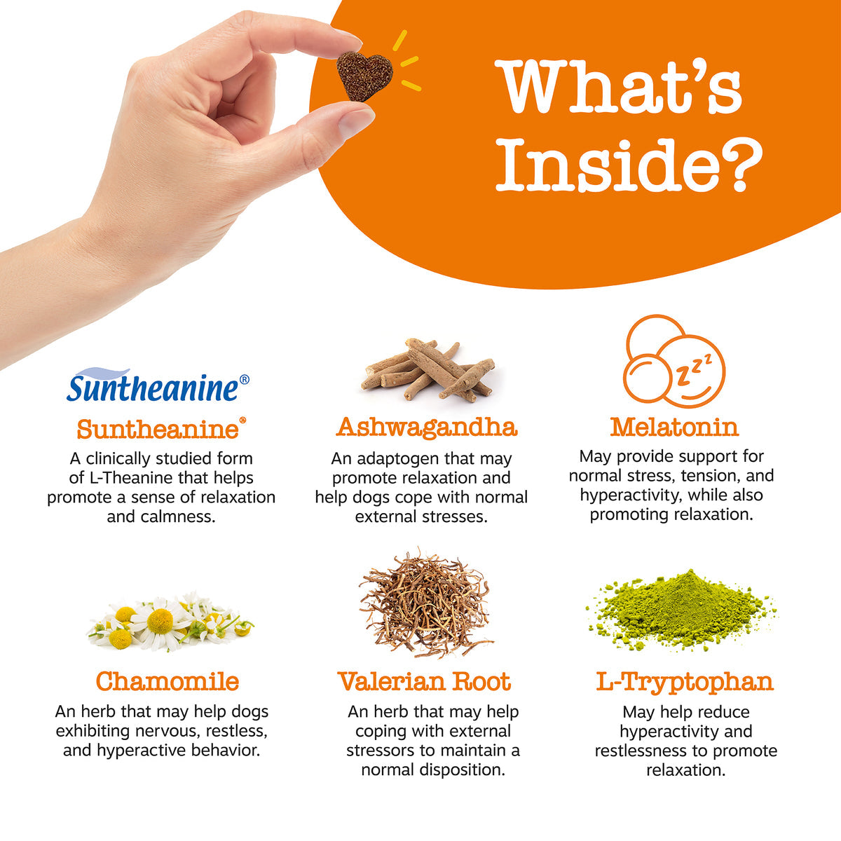 Calming Plus Bites for Dogs