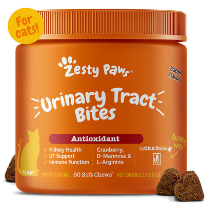 Urinary Tract Bites for Cats