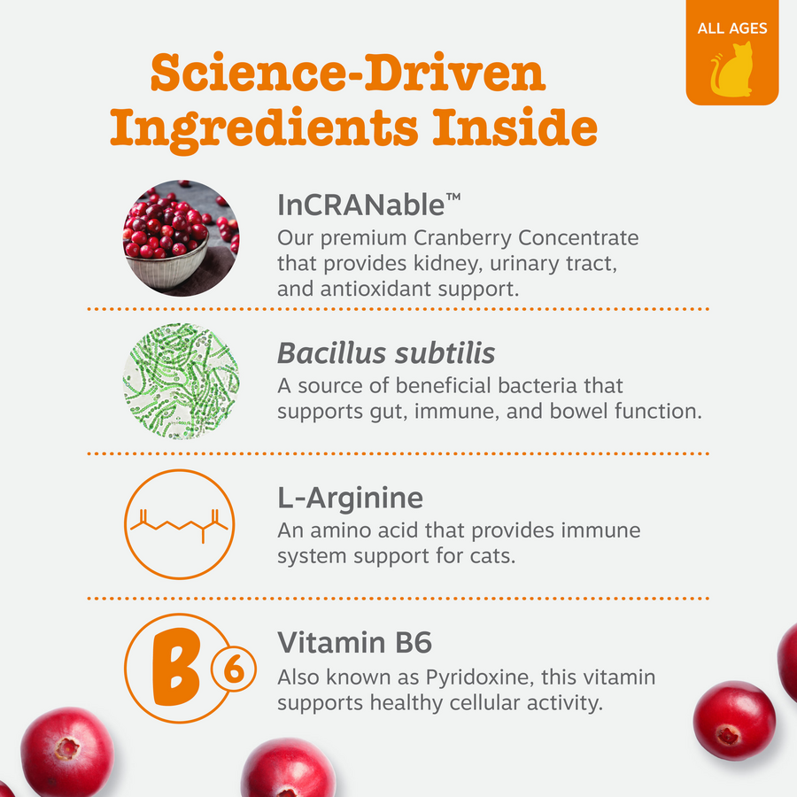 Urinary Tract Cat Mousse