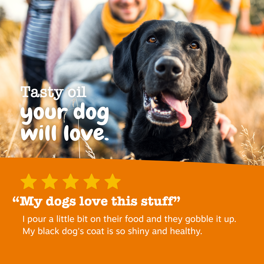 Wild Alaskan Salmon Oil for Dogs & Cats