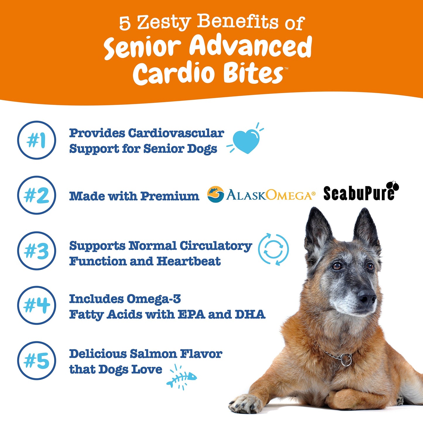 Senior Advanced Cardio Bites for Dogs