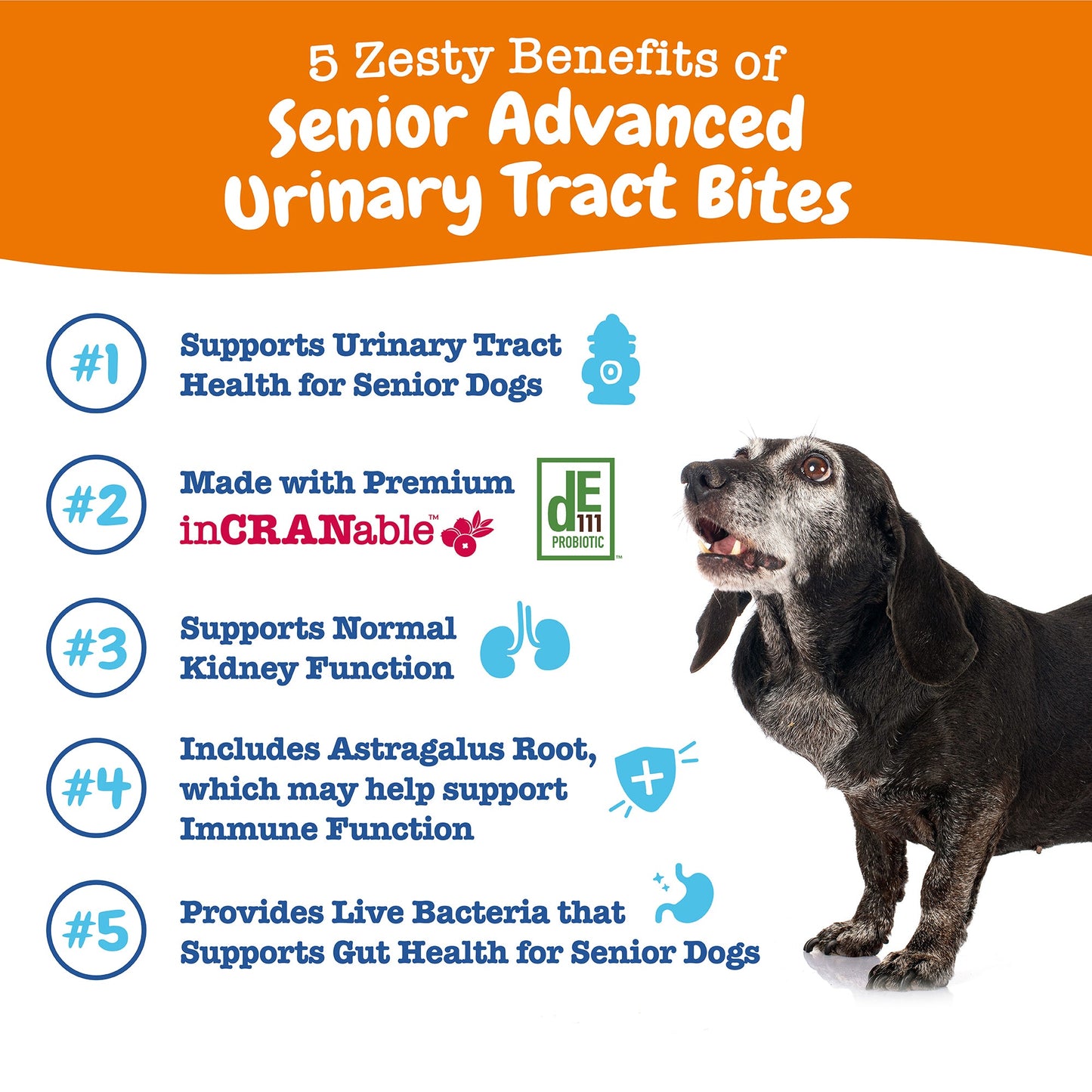Senior Advanced Urinary Tract Bites for Dogs
