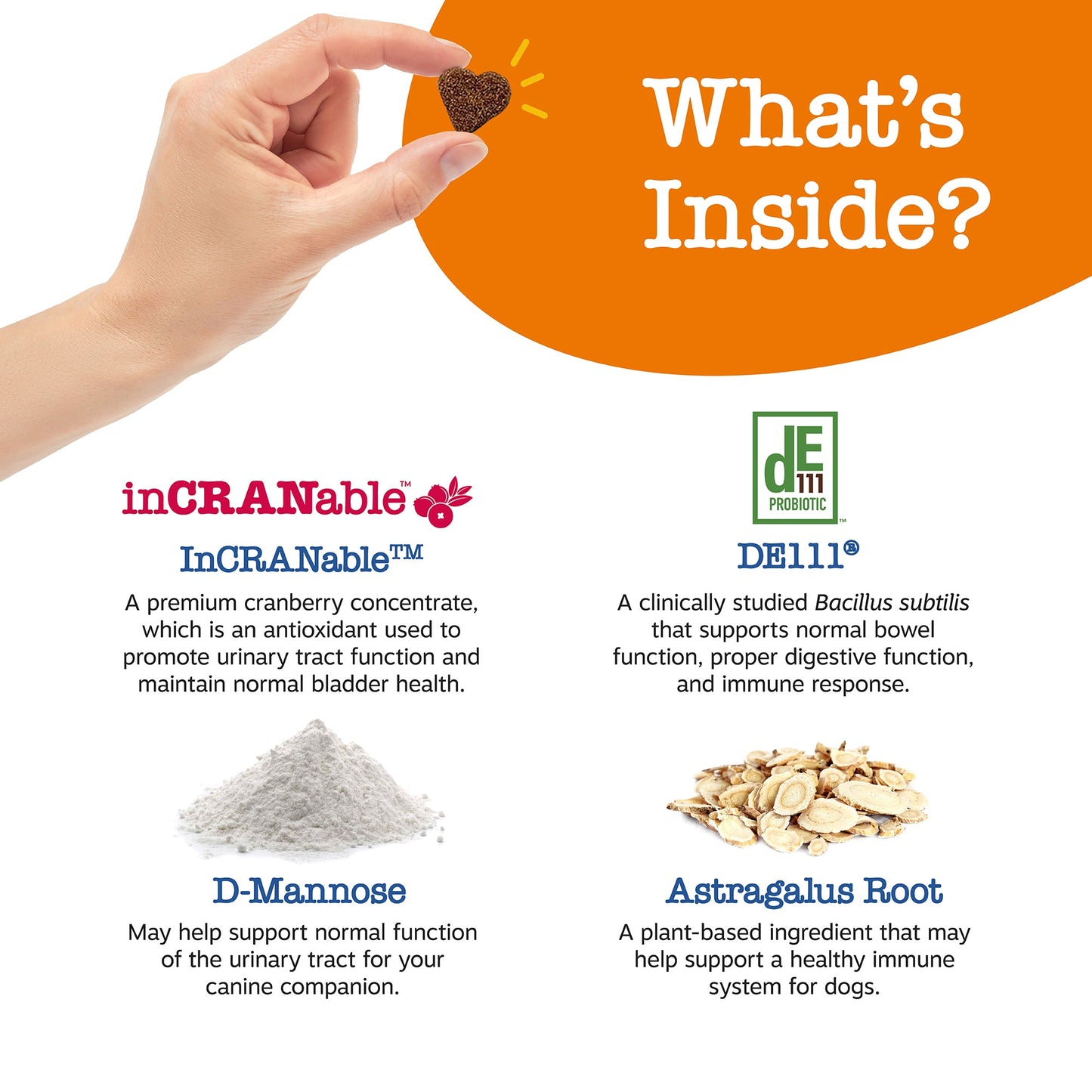 Senior Advanced Urinary Tract Bites for Dogs