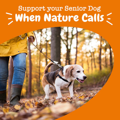 Senior Advanced Urinary Tract Bites for Dogs