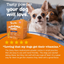 Multivitamin Powder for Dogs