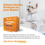 Multivitamin Powder for Dogs