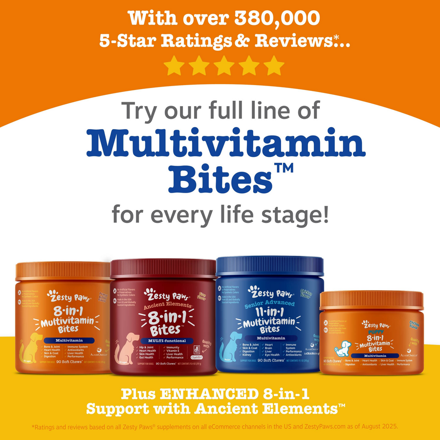 Multivitamin Powder for Dogs