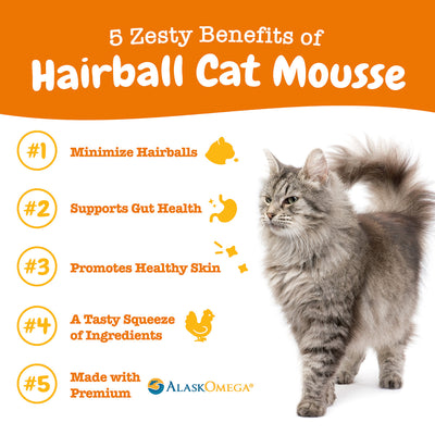Hairball Cat Mousse