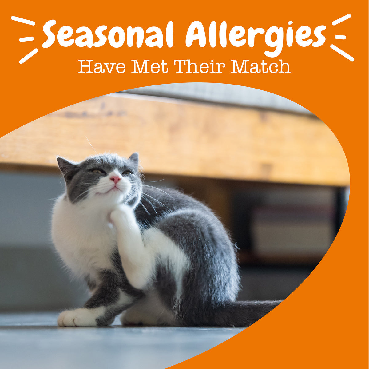 Allergy & Immune Cat Mousse