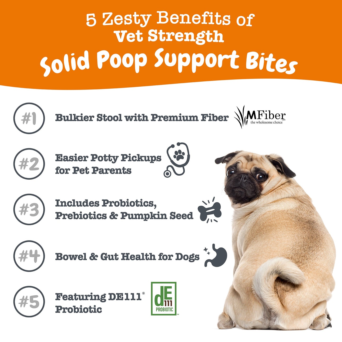 Vet Strength™ Solid Poop Support Bites for Dogs