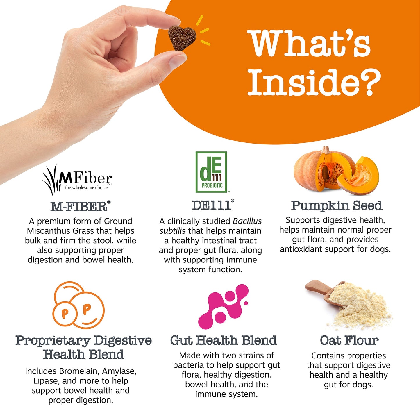 Vet Strength™ Solid Poop Support Bites for Dogs