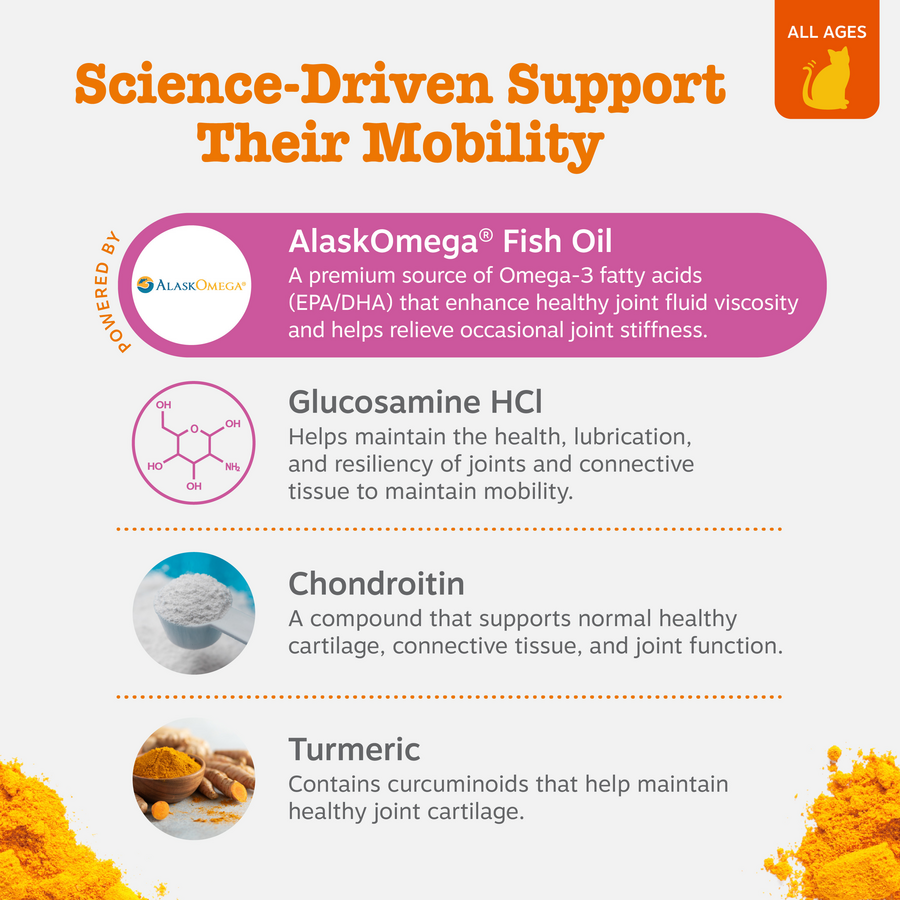 Hip & Joint Bites for Cats