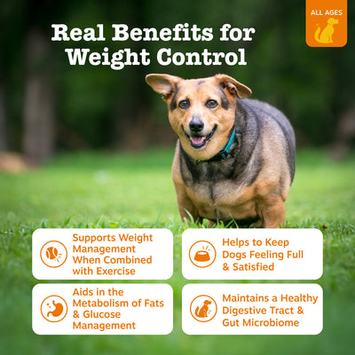 Vet Strength™ Weight Management Bites for Dogs
