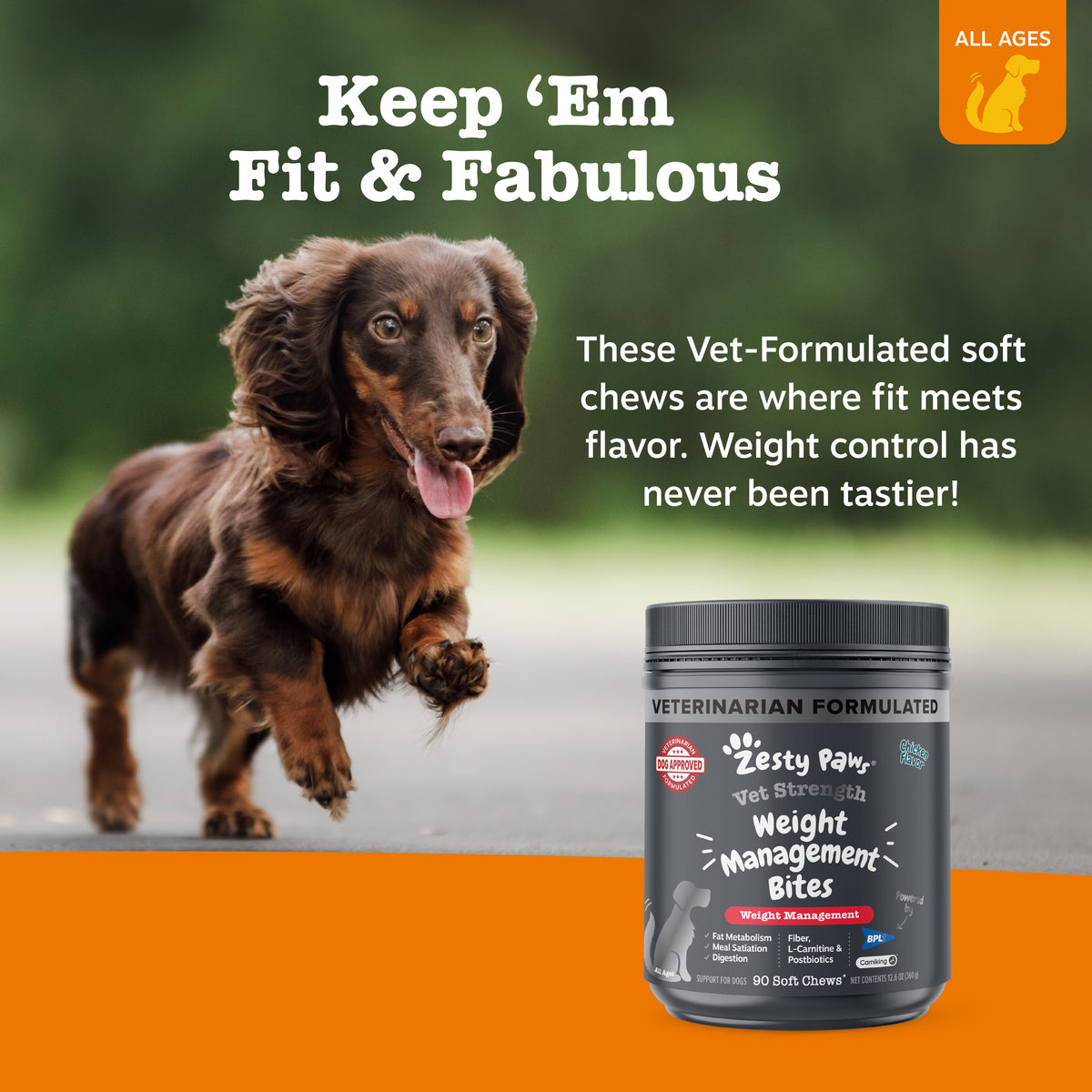 Vet Strength™ Weight Management Bites for Dogs