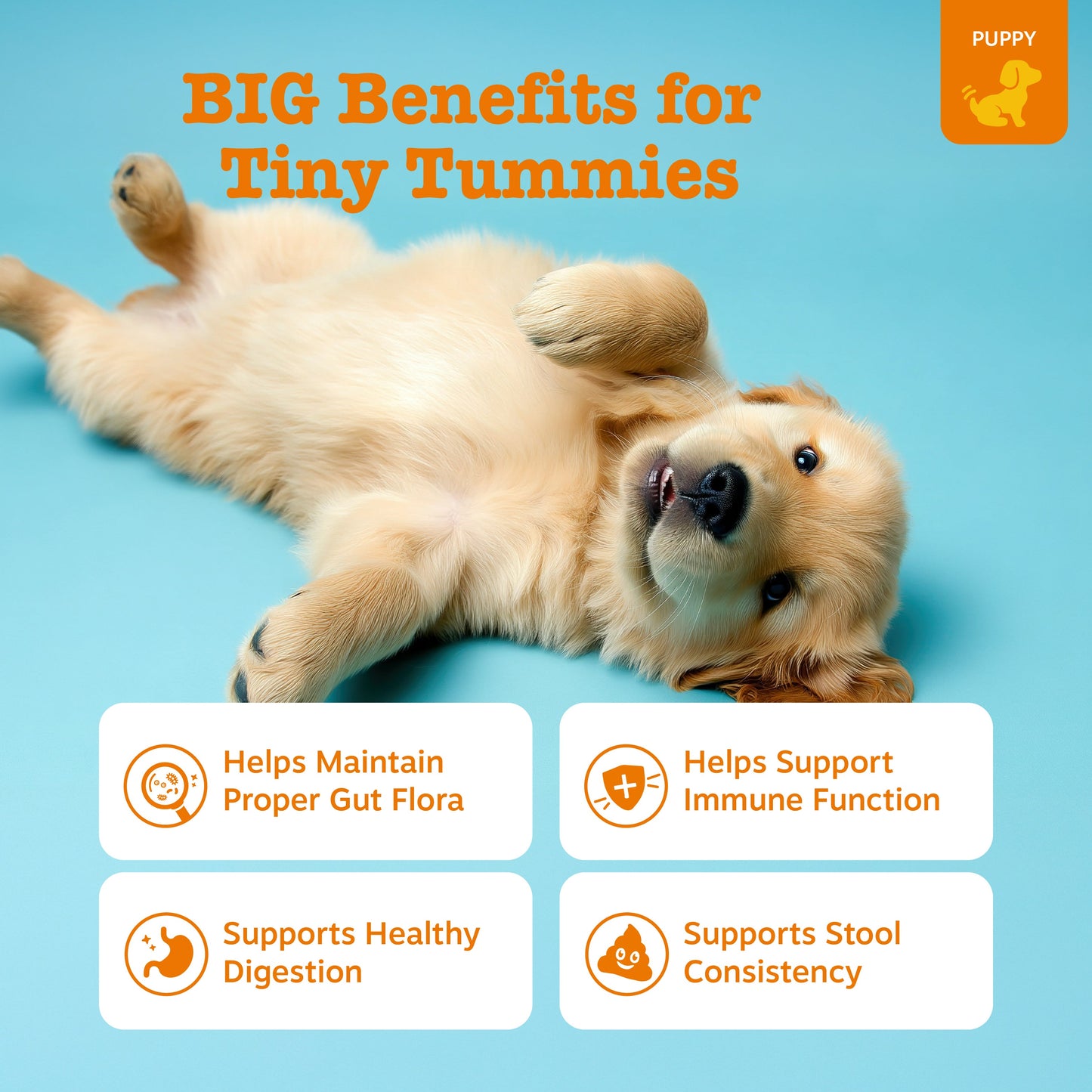 Puppy Probiotic Bites