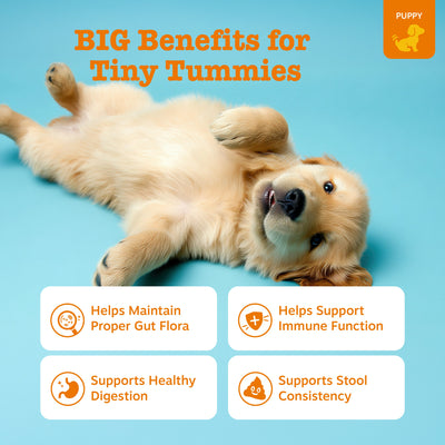 Puppy Probiotic Bites