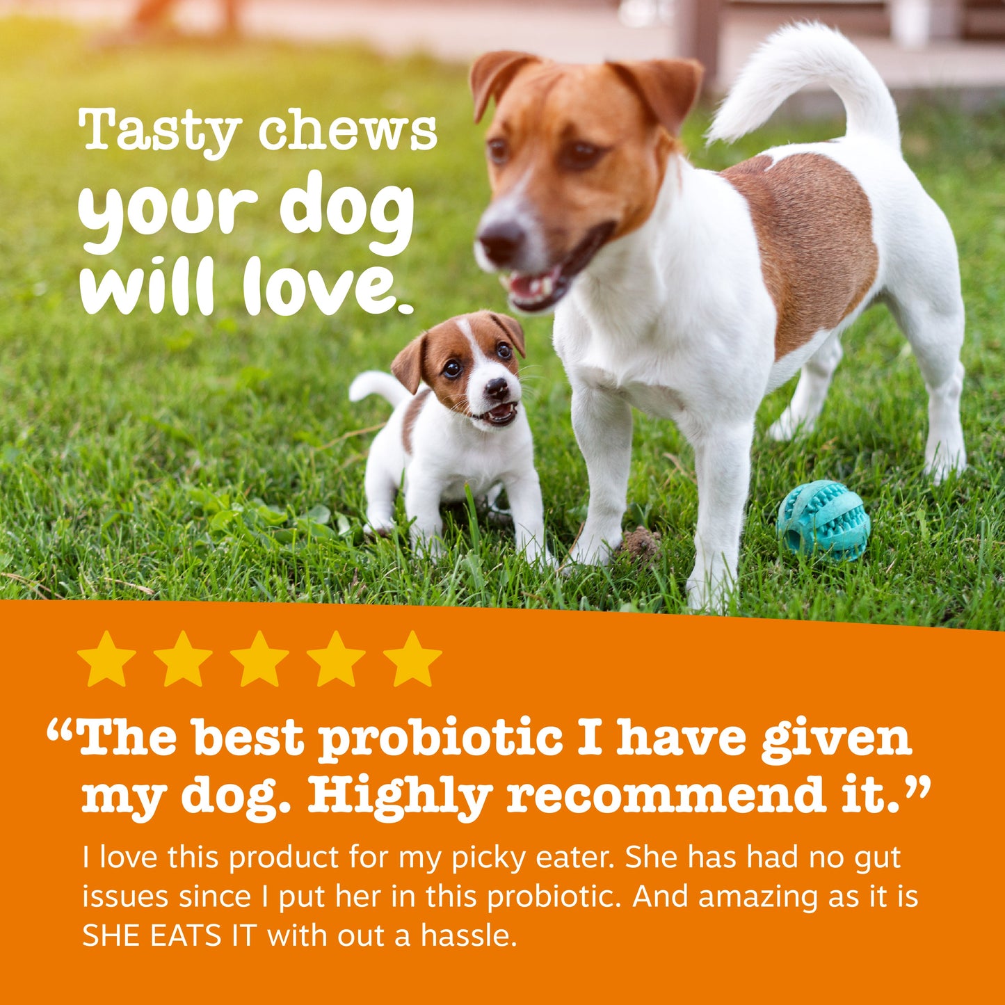 Puppy Probiotic Bites