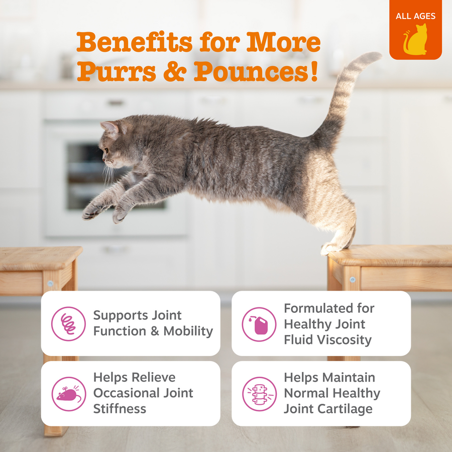 Hip & Joint Bites for Cats