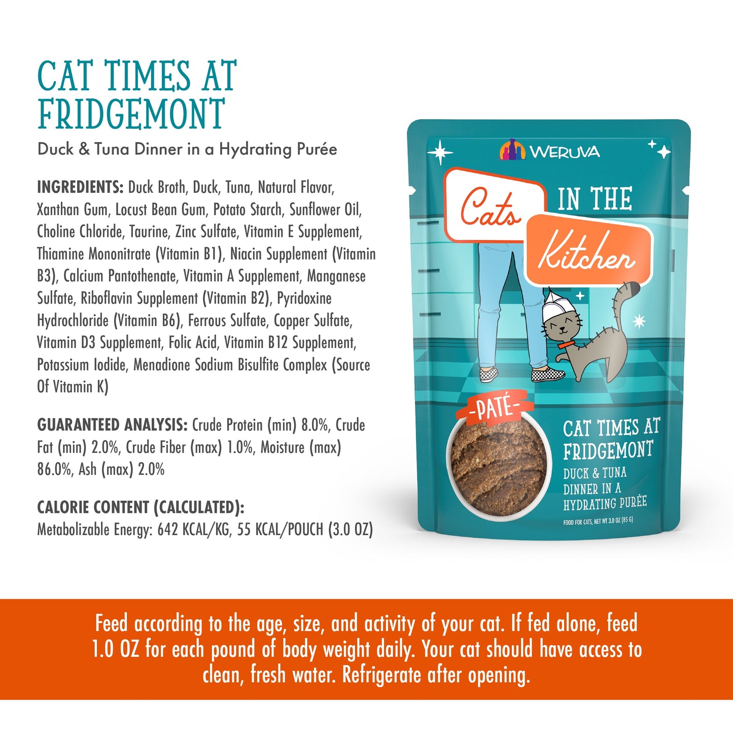 Cat Times at Fridgemont