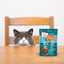Cat to The Future