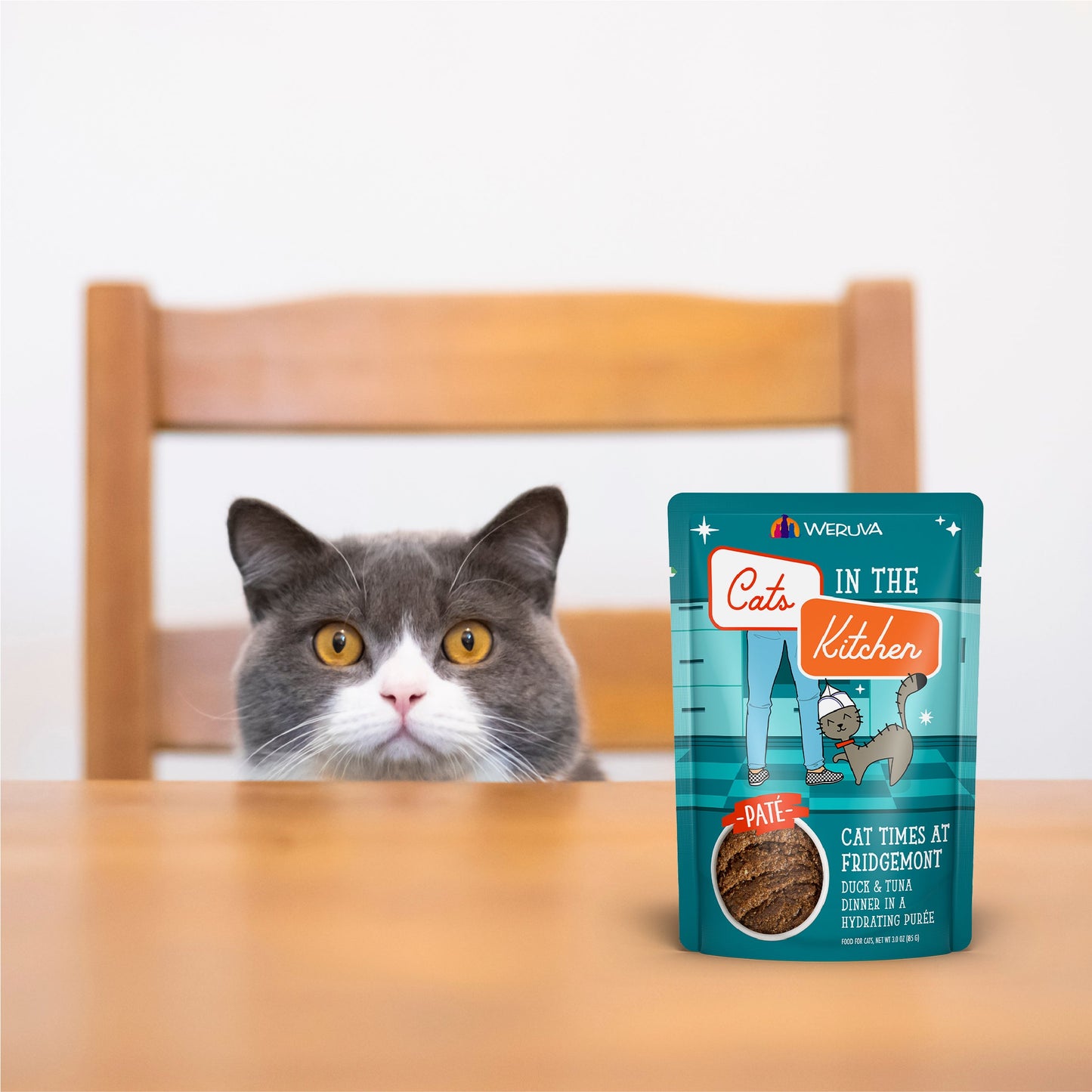Cat to The Future