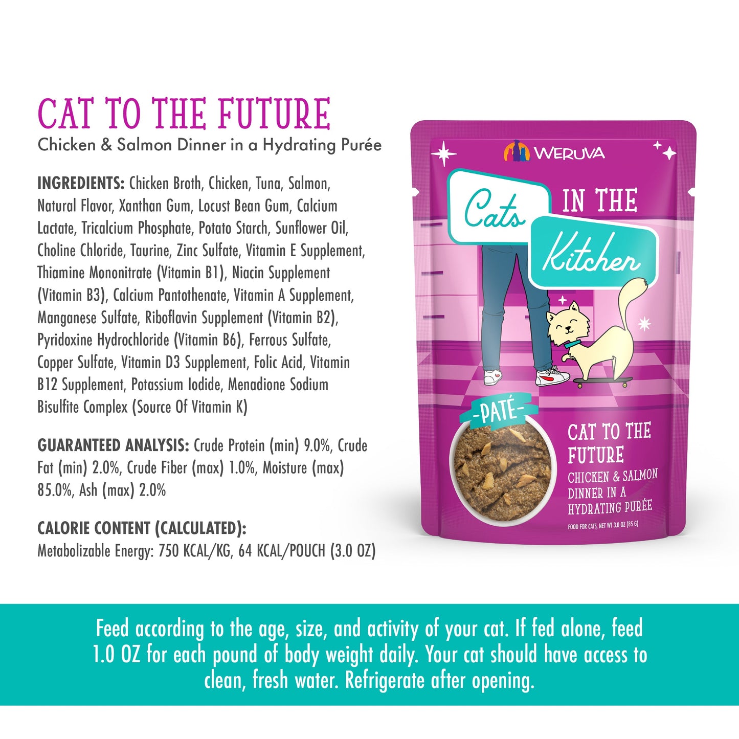 Cat to The Future