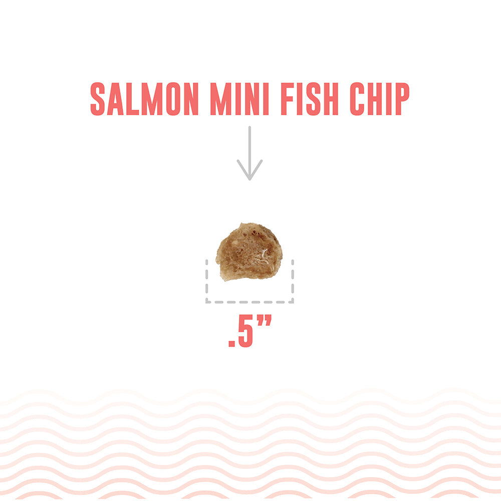 Cod Mini Chip & Salmon Mini Chip Treat Bundle