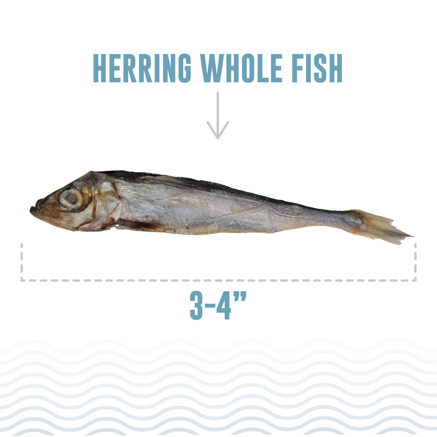 Herring Whole Fish Cat Treats