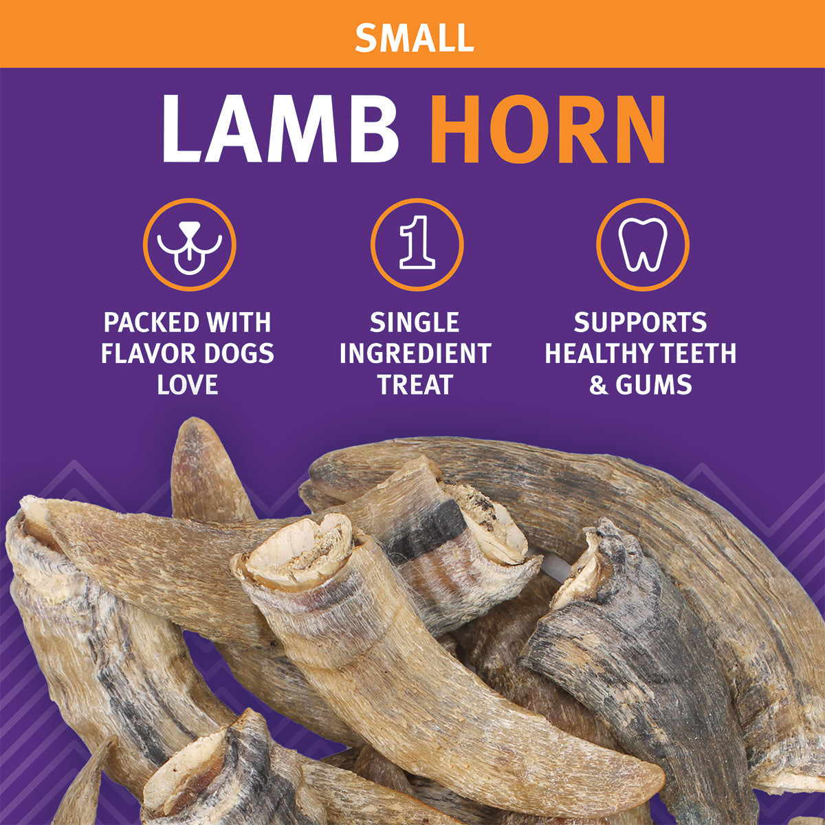 Small Lamb Horn Bundle