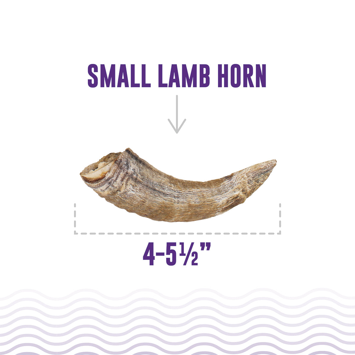 Small Lamb Horn Bundle