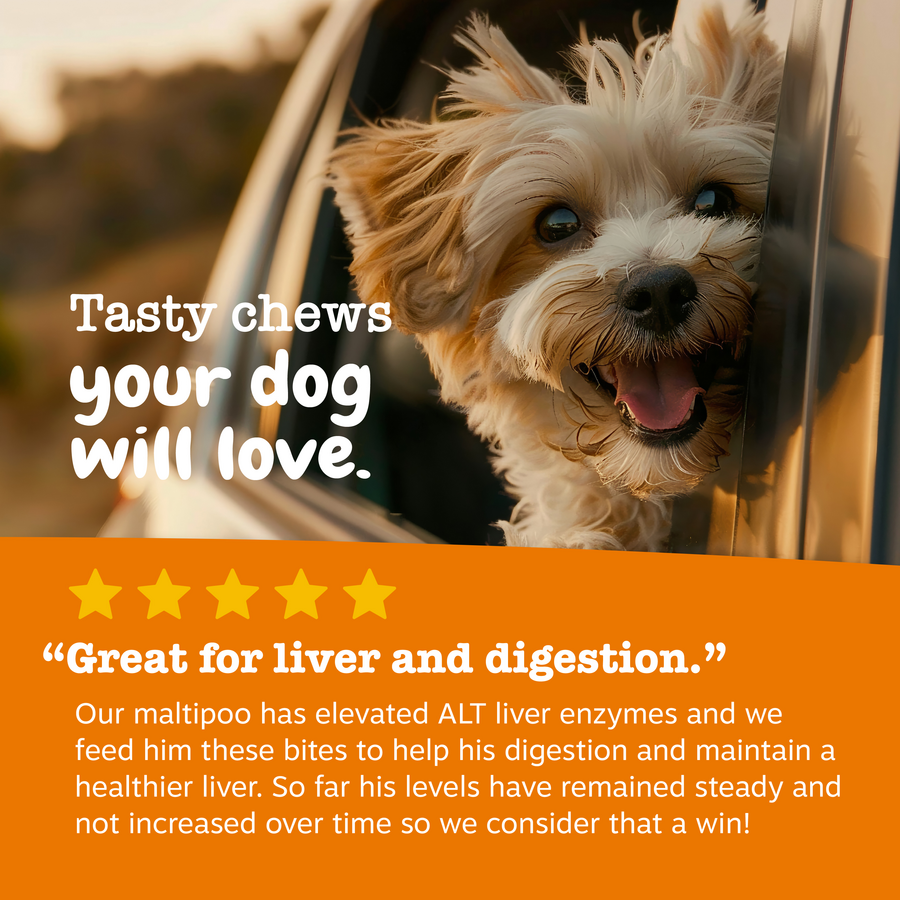 Liver Support Bites™ for Dogs