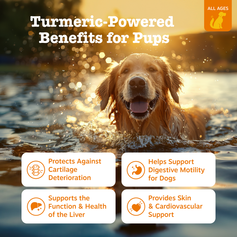 Turmeric Curcumin Bites™ for Dogs