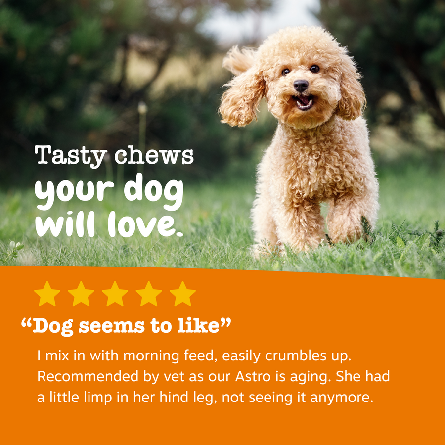 Turmeric Curcumin Bites™ for Dogs