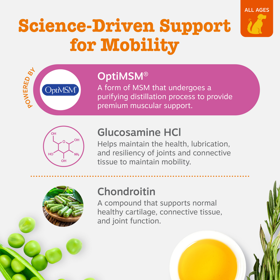 Hip & Joint Bites for Dogs