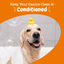 Itch-Soother Conditioner for Dogs