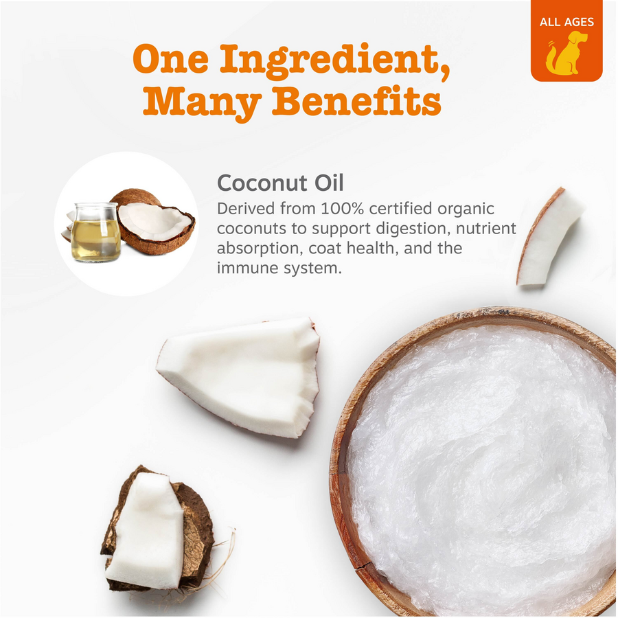 Organic Coconut Oil for Dogs