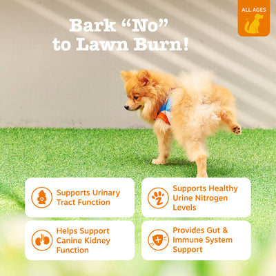 Stay Green Bites™ for Dogs