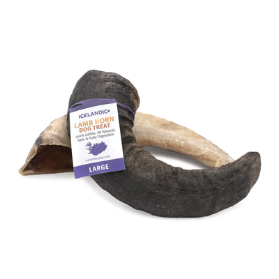Large Lamb Horn Dog Chew
