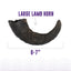 Large Lamb Horn Dog Chew