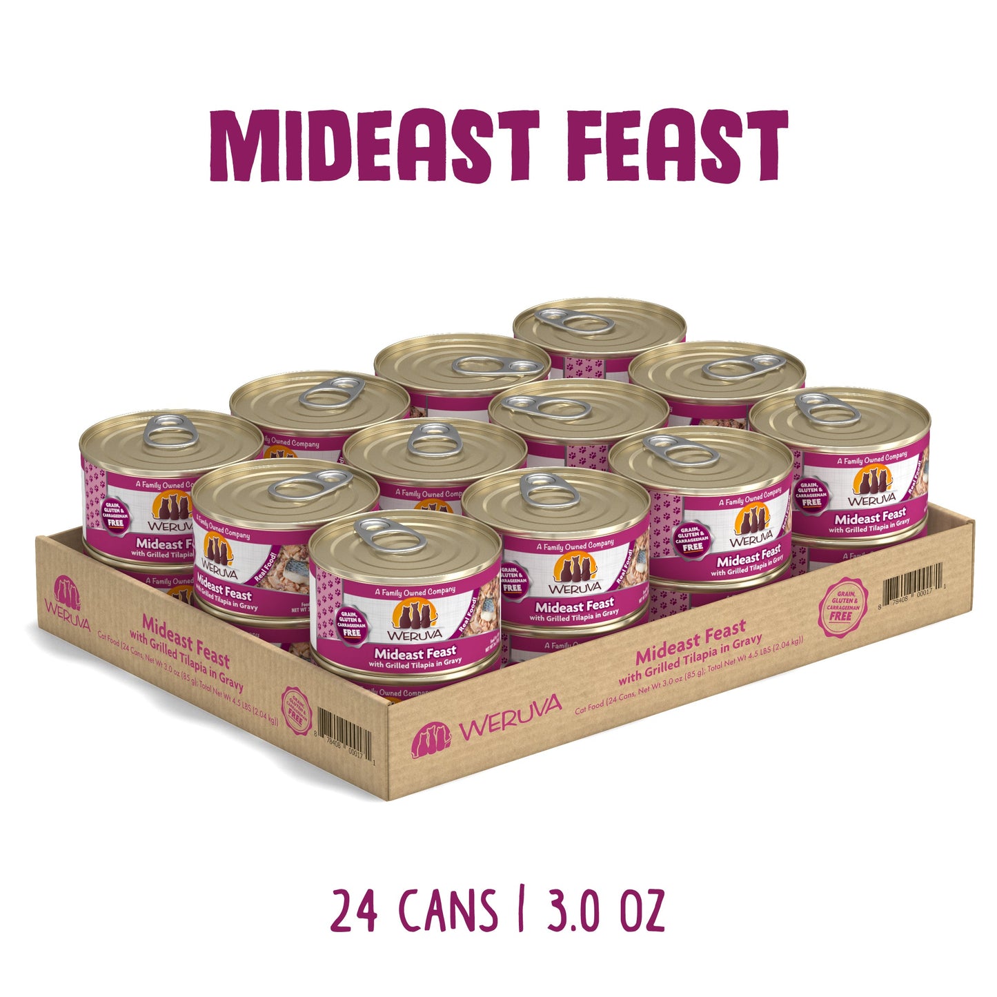 Mideast Feast