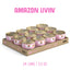 Amazon Livin'
