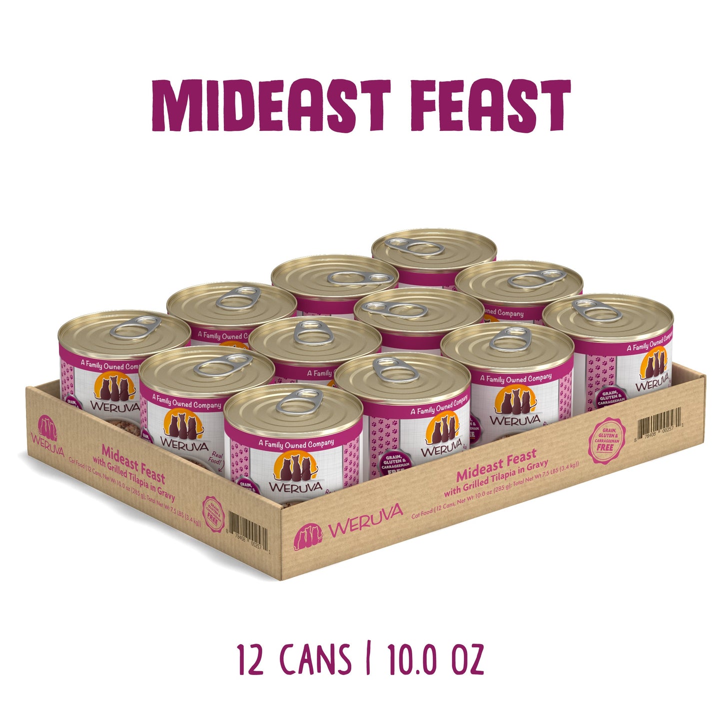 Mideast Feast