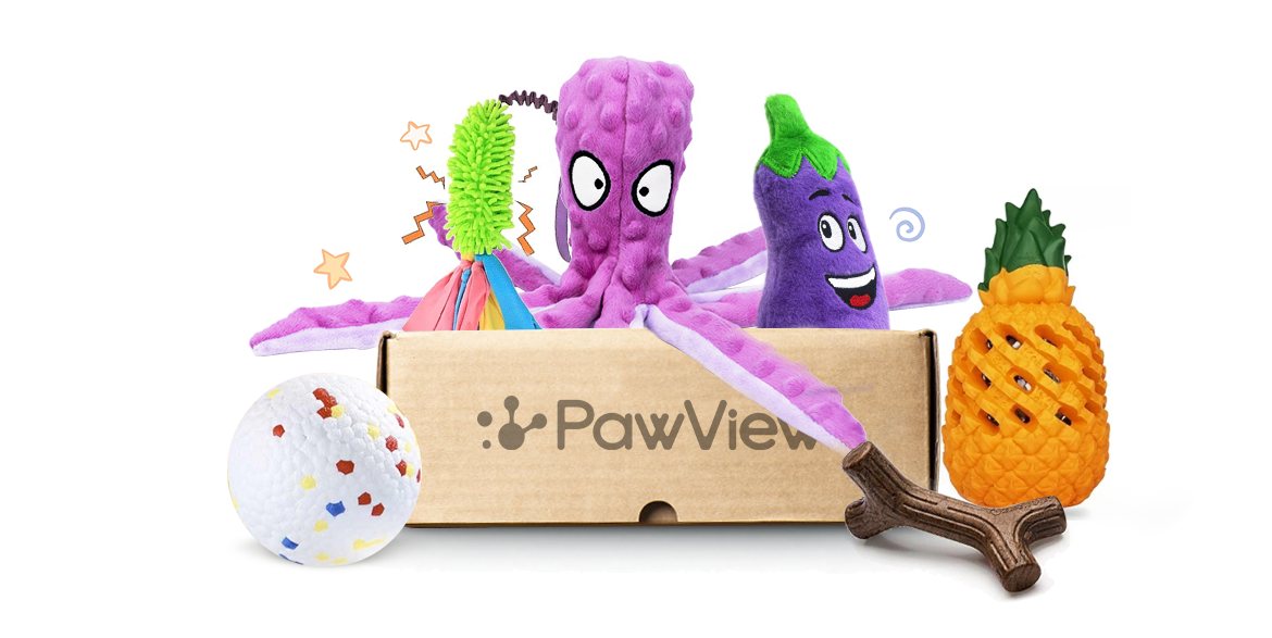 PawView Subscription Box: Tailored Treats and Toys for Your Furry Friend's Delight