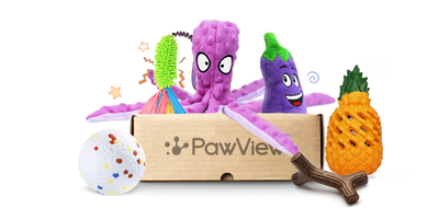 PawView Subscription Box: Tailored Treats and Toys for Your Furry Friend's Delight