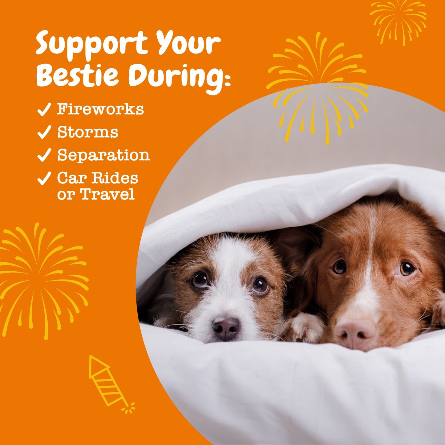 Ancient Elements™ Calming Bites™ for Dogs